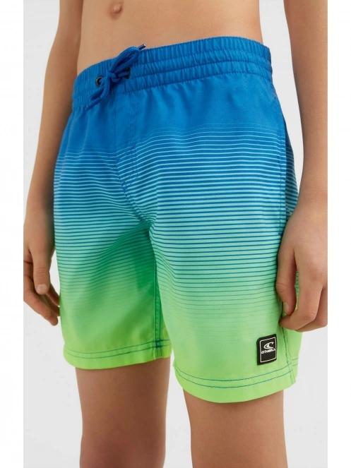 Cali Gradient 14'' Swim Shorts