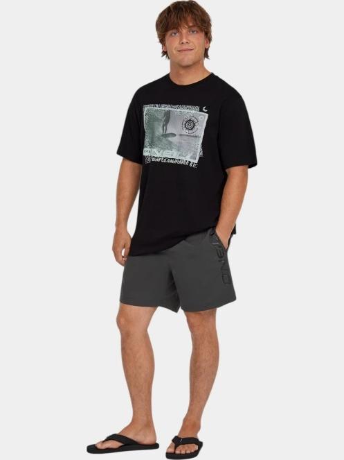 O'Neill Cali 16'' Swimshorts férfi beach short szürke színben 5