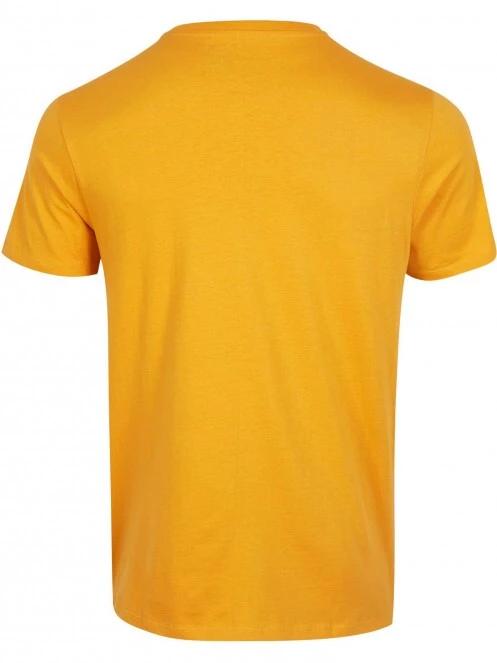 O'Neill Arrowhead T-Shirt férfi rövid ujjú póló narancssárga színben 6