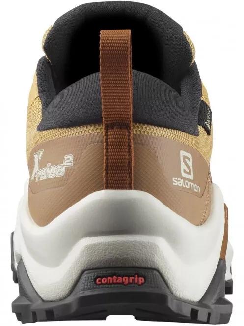 Salomon X Raise 2 Gtx férfi futócipő barna színben 6
