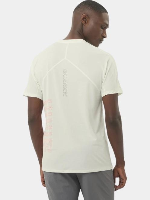 Salomon Sense Aero Graphic férfi rövid ujjú sport póló zöld színben 3