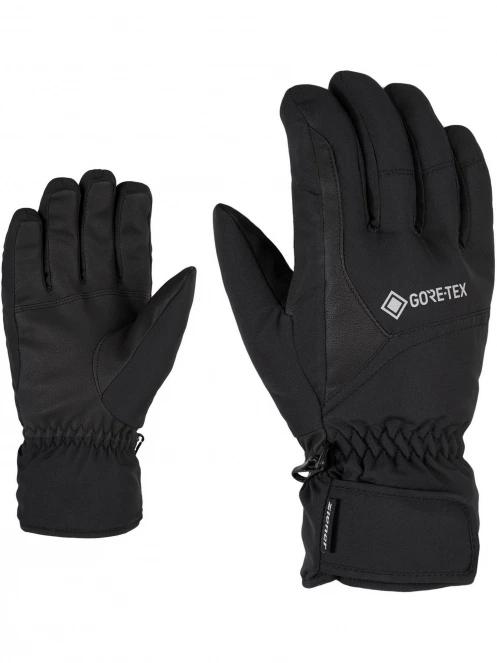 Garwen GTX glove ski alpine