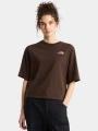 The North Face W Hike Picnic Boxy Ss Tee-Graphic női rövid ujjú póló barna színben 1