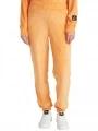 Velour Jogger Pants