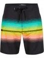 Heat Stripe Line 19'' Boardshorts