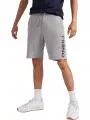 O'Neill Sweat Shorts Men férfi rövidnadrág szürke színben 1
